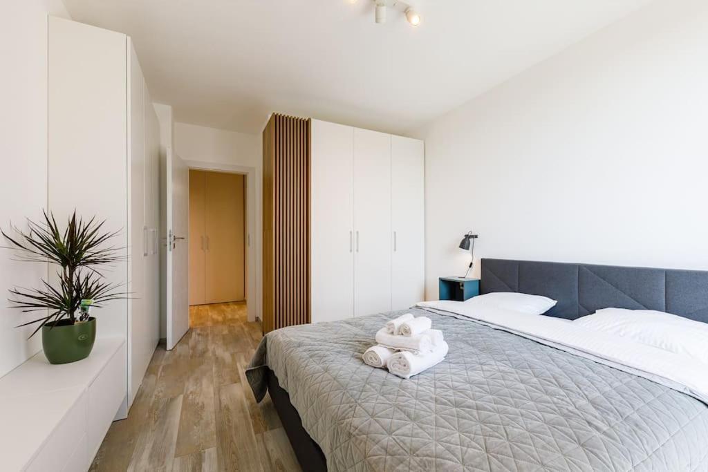 Luxury Apt. Near River & Parking Timisoara Exterior photo