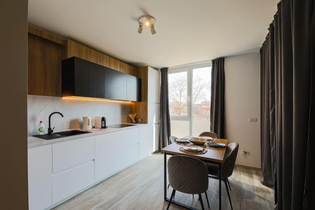 Luxury Apt. Near River & Parking Timisoara Exterior photo